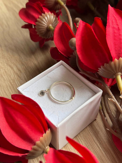 Bague souvenir Nuit précieuse en argent 925 écrin - bijou souvenir poils animaux cendres fait main - Les Bijoux Étoilés