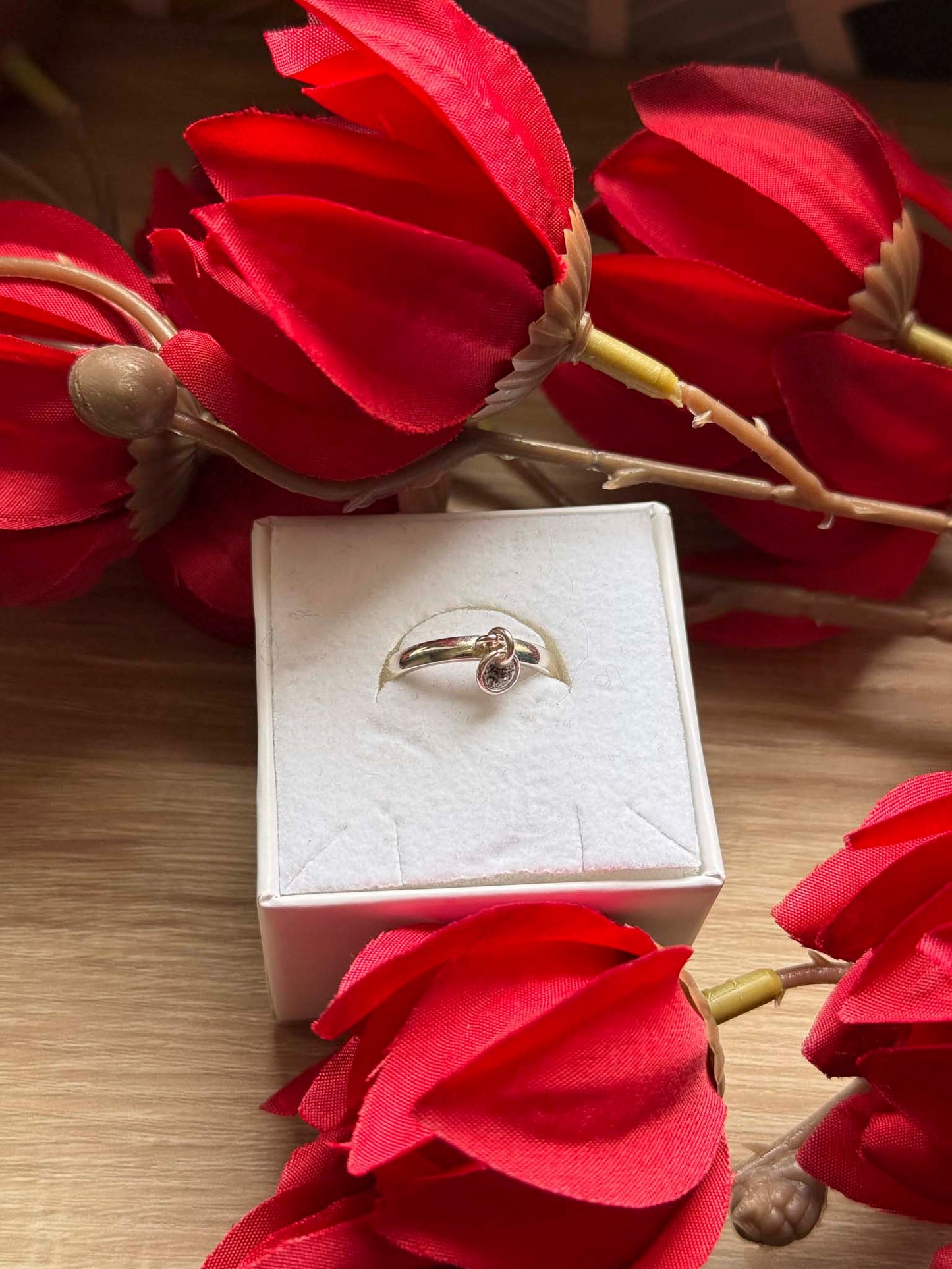 Bague souvenir Nuit précieuse en argent 925 dessus - bijou souvenir poils de chien chat crins de cheval cendres animales - Les Bijoux Étoilés