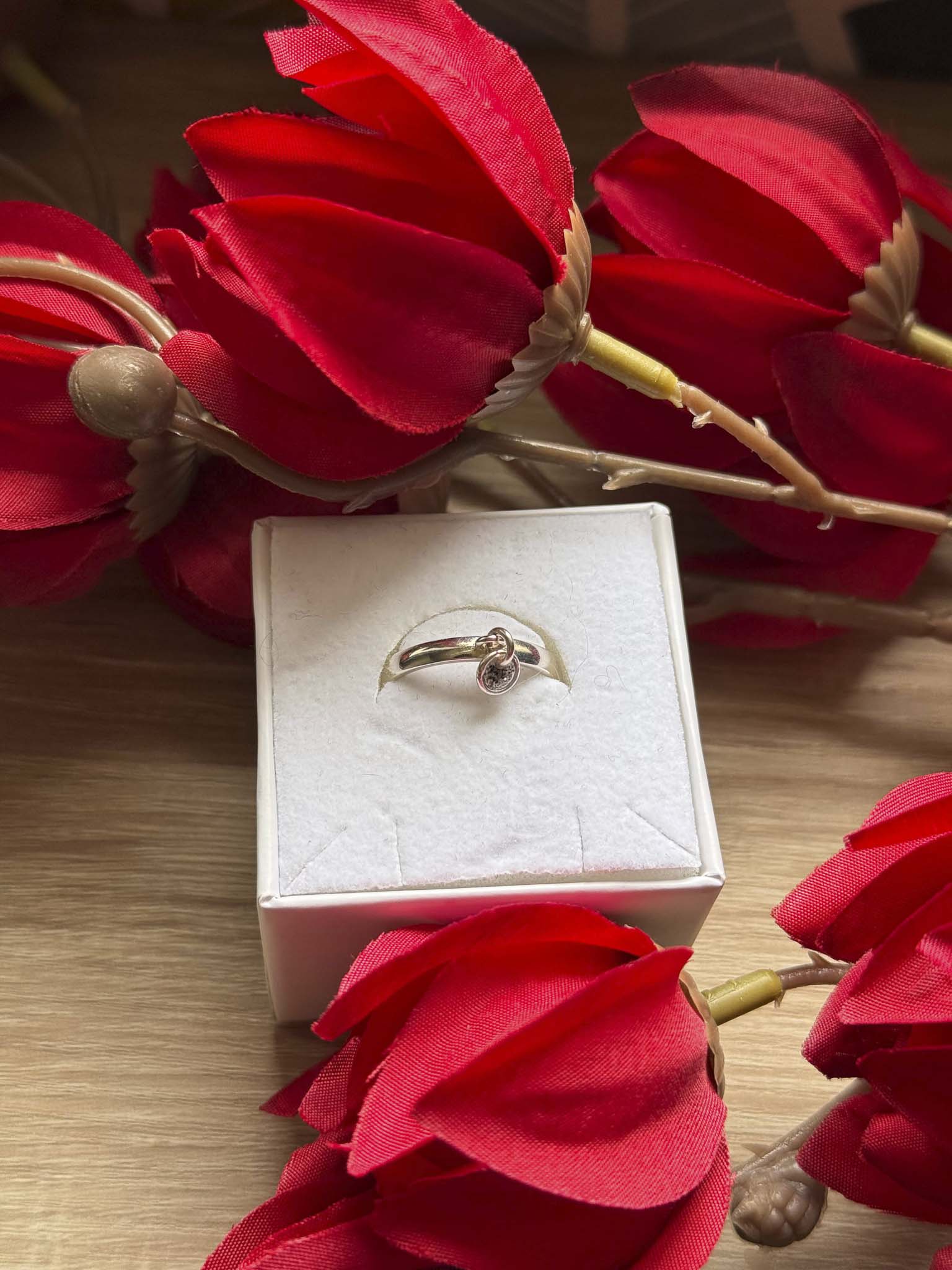 Bague souvenir Nuit précieuse en argent 925 dessus - bijou souvenir poils de chien chat crins de cheval cendres animales - Les Bijoux Étoilés