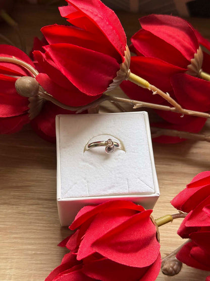 Bague souvenir Nuit précieuse en argent 925 dessus - bijou souvenir poils de chien chat crins de cheval cendres animales - Les Bijoux Étoilés